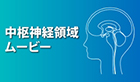 中枢神経領域ムービー