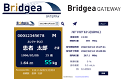 Bridgea GATEWAY​