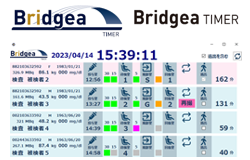 Bridgea TIMER
