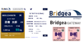 Bridgea GATEWAY​